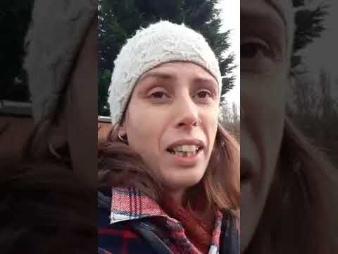 Weekly Wander Episode 17